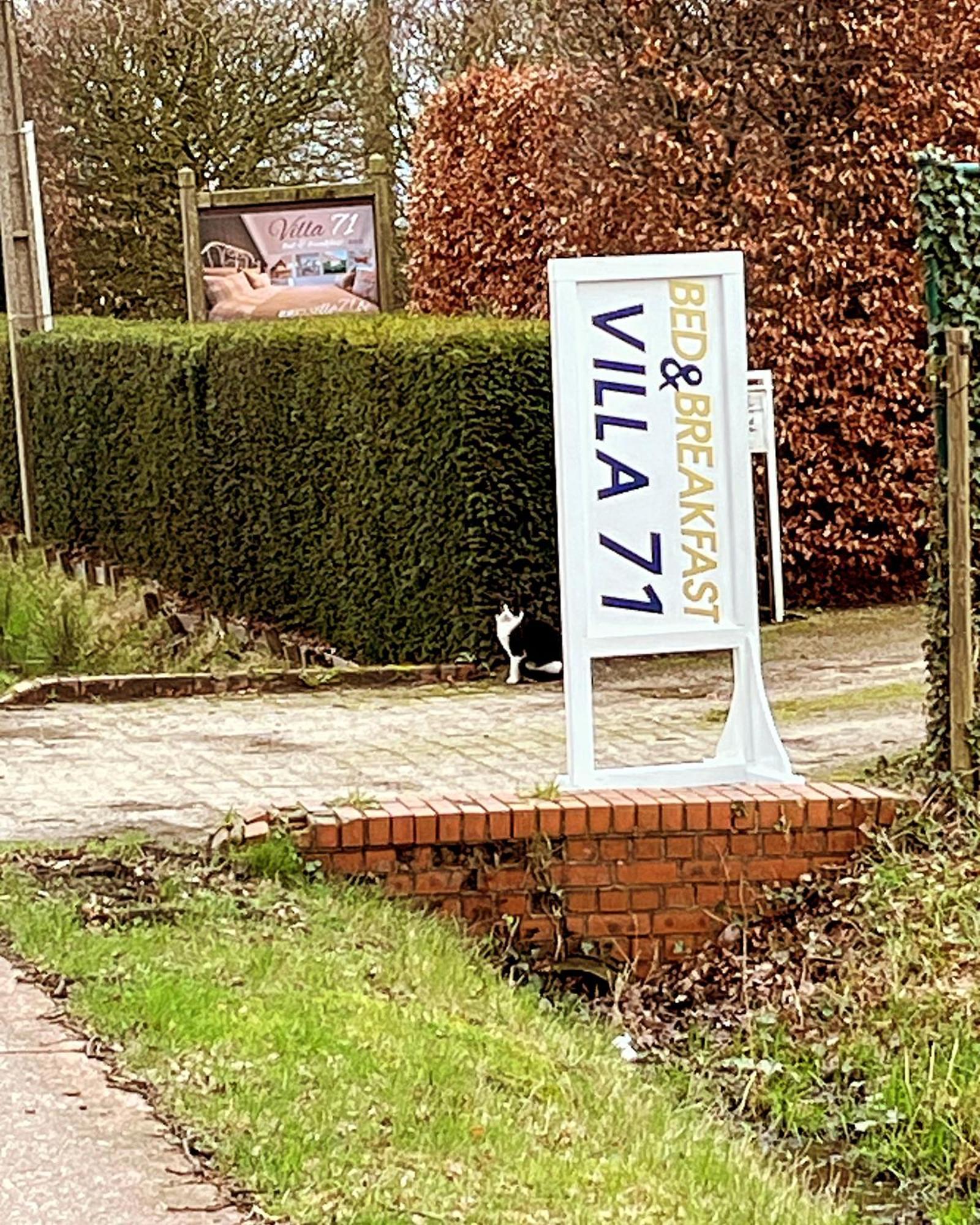 Villa71 Rijkevorsel 외부 사진